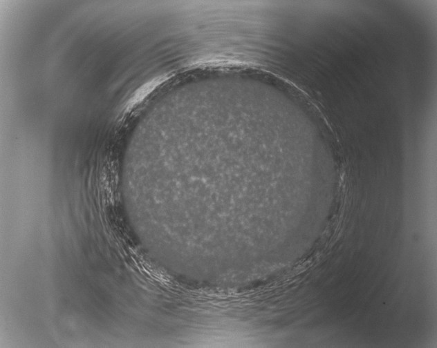 X0000085810871200703301522