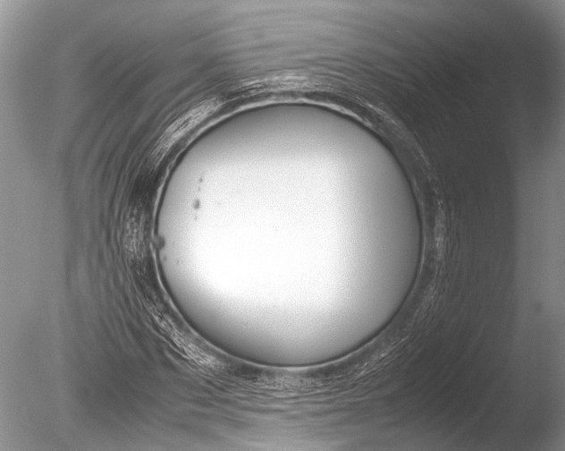 X0000085810873200703301522