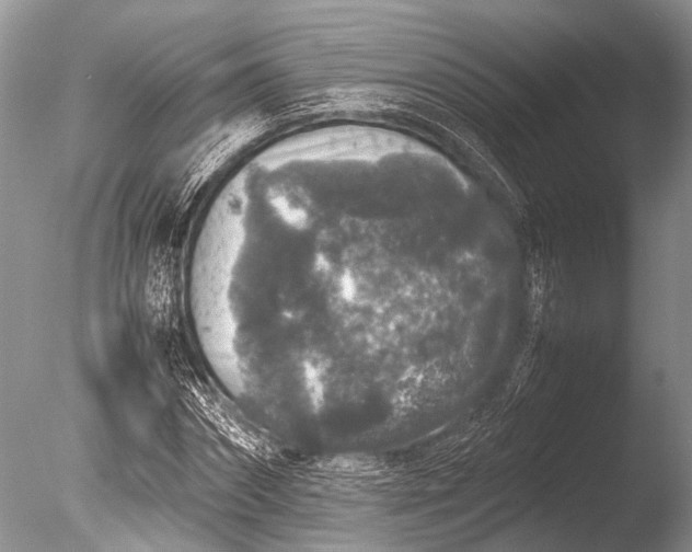 X0000085810874200703301522