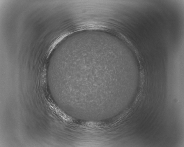 X0000085810875200703301522