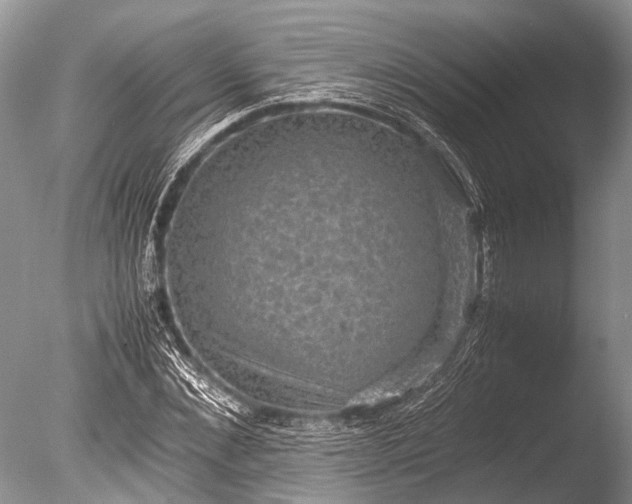 X0000085810876200703301522