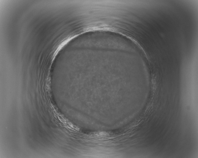 X0000085810879200703301522