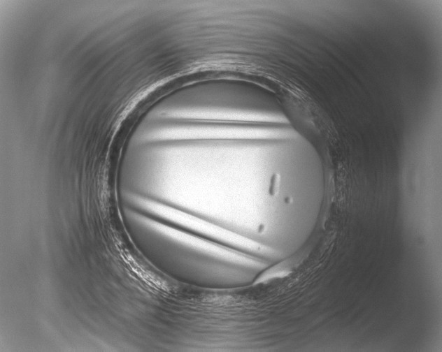 X0000085810880200703301522