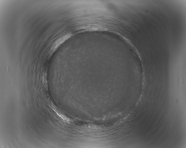 X0000085810881200703301522