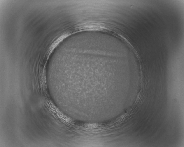 X0000085810883200703301522