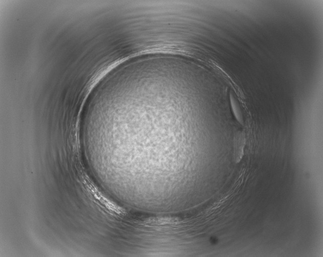 X0000085810884200703301522