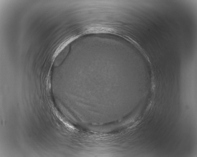 X0000085810885200703301522