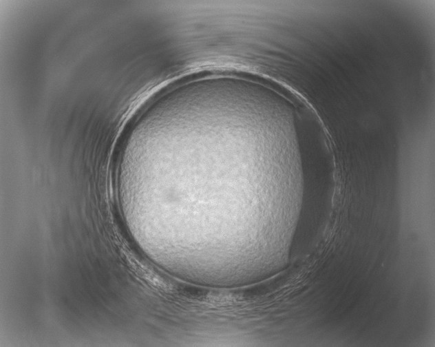 X0000085810887200703301522