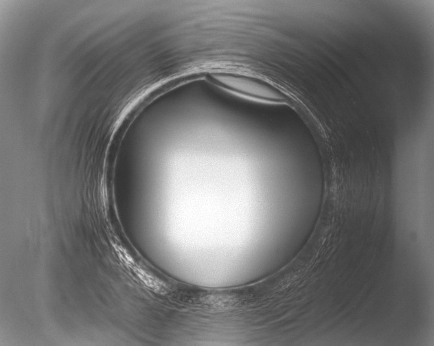 X0000085810888200703301522