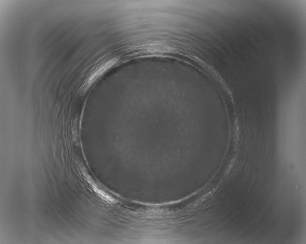 X0000085810889200703301522