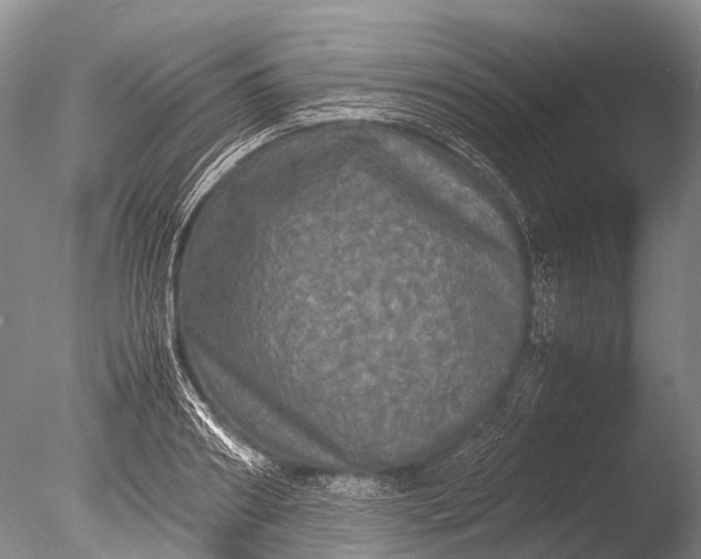 X0000085810890200703301522