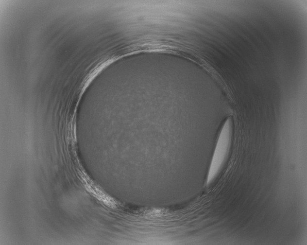 X0000085810891200703301522