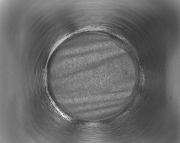 X0000085810894200703301522