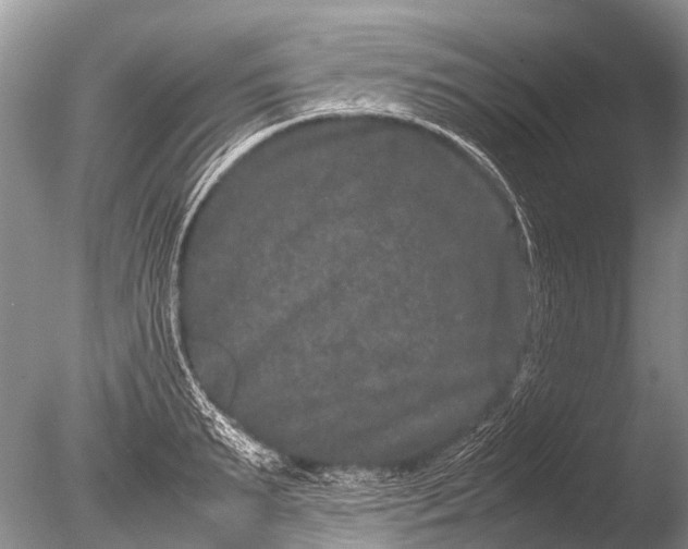 X0000085810895200703301522