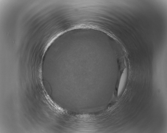 X0000085810896200703301522