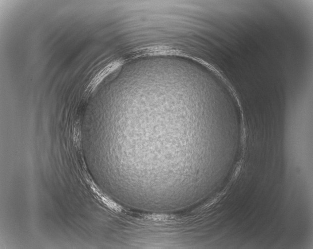 X0000085810897200703301522