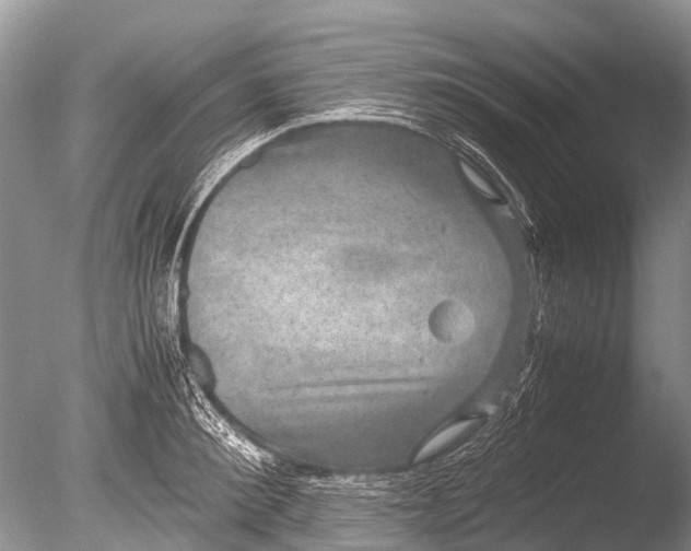 X0000085810900200703301522