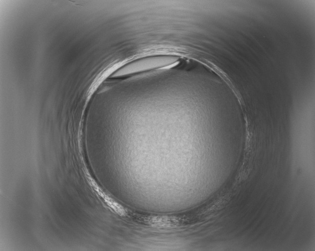 X0000085810901200703301522