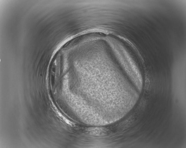 X0000085810902200703301522