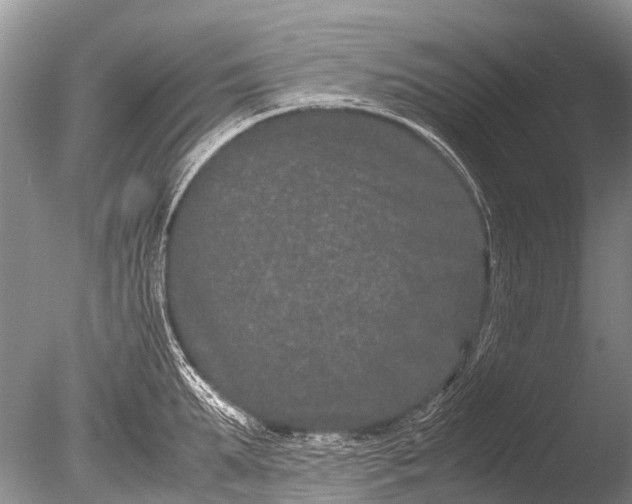 X0000085810903200703301522