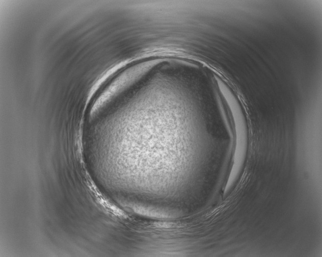 X0000085810904200703301522