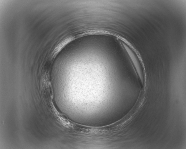 X0000085810905200703301522