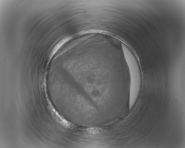 X0000085810906200703301522