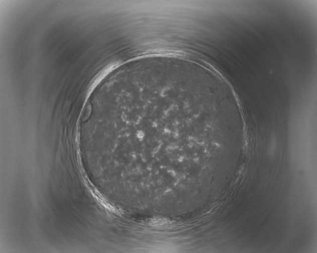 X0000085810907200703301522