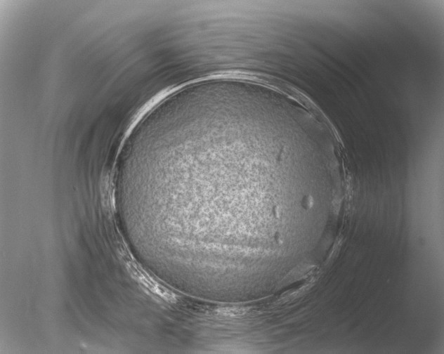 X0000085810908200703301522