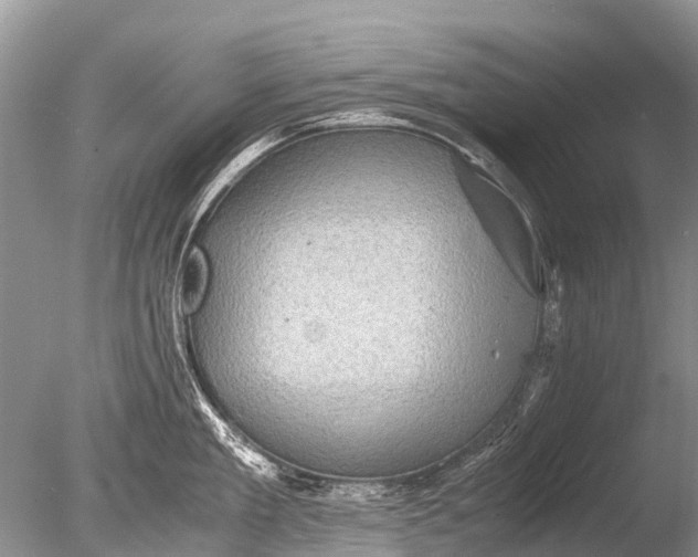 X0000085810909200703301522