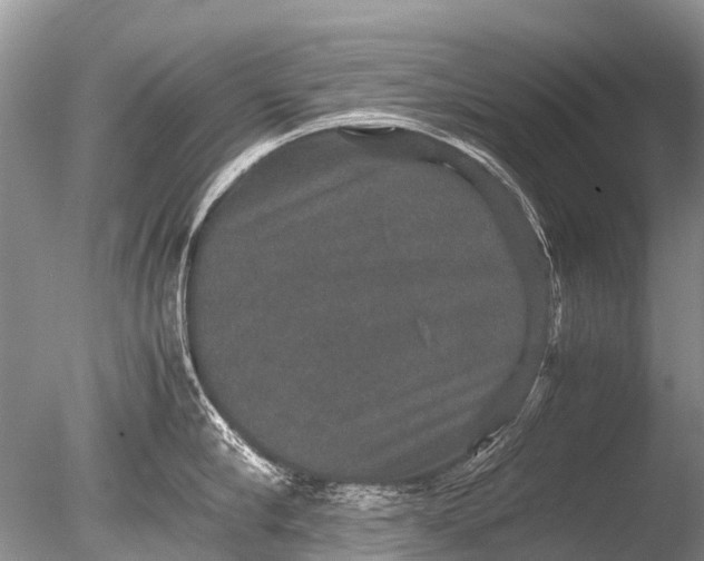 X0000085810910200703301522