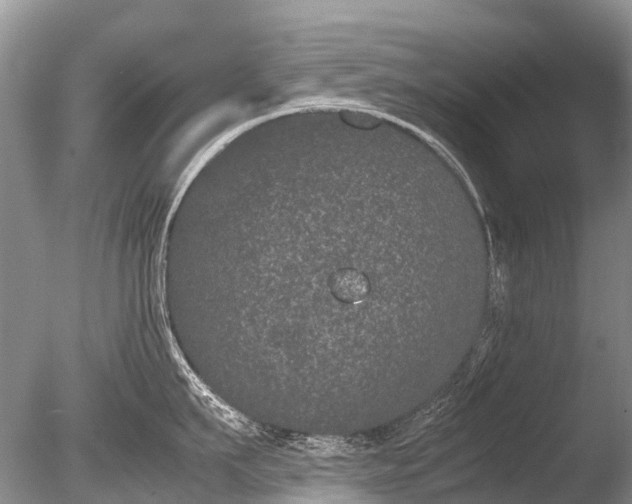 X0000085810911200703301522