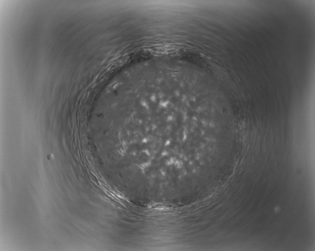 X0000085810913200703301521