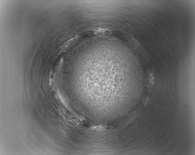 X0000085810914200703301521