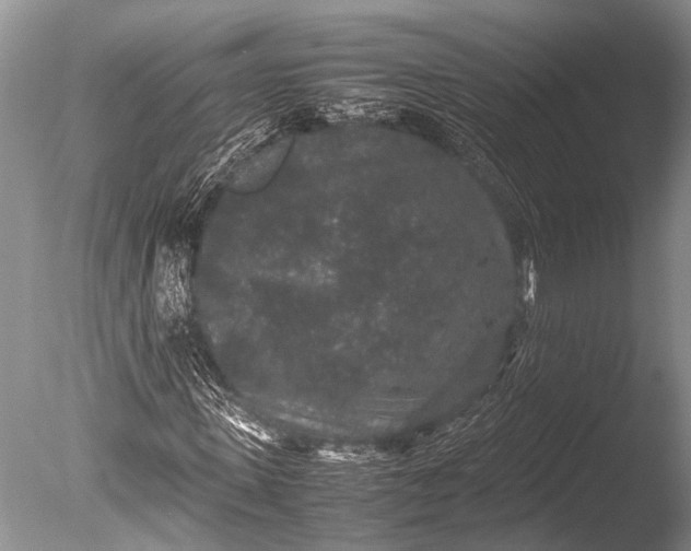 X0000085810915200703301521