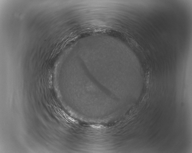 X0000085810916200703301521