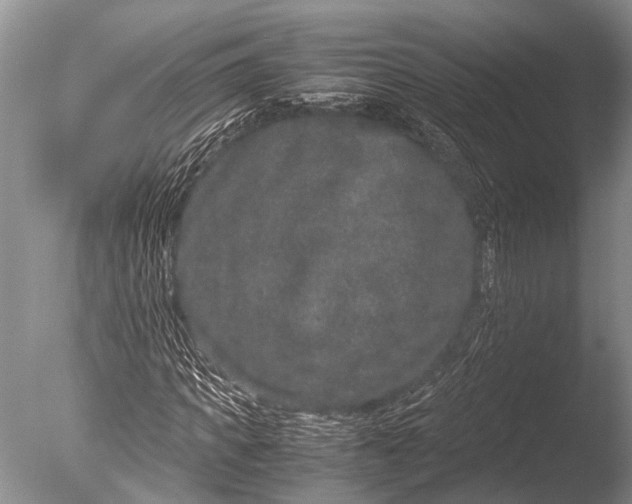 X0000085810917200703301521