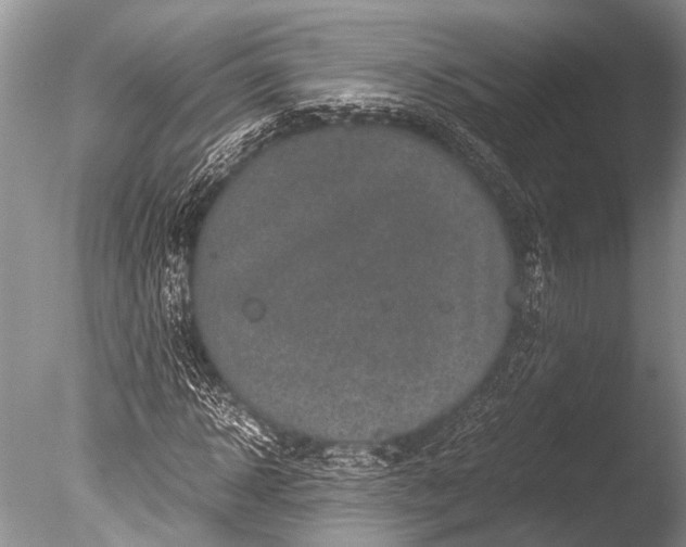 X0000085810918200703301521