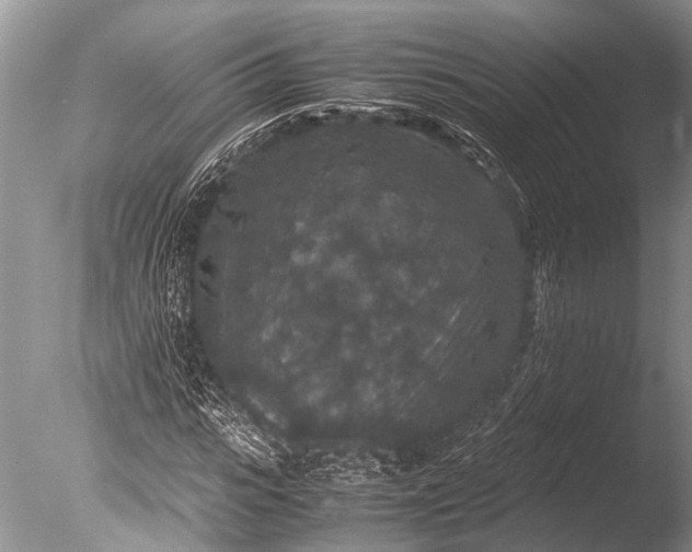 X0000085810919200703301521