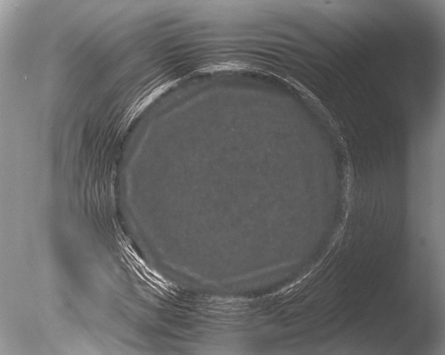 X0000085810921200703301521