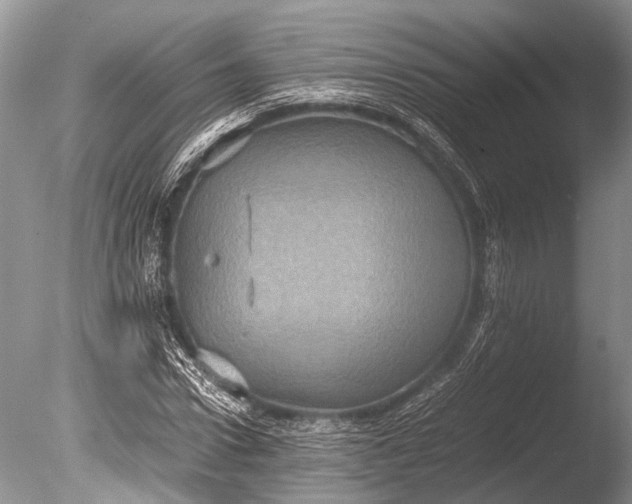 X0000085810922200703301521