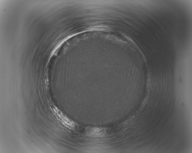 X0000085810923200703301521