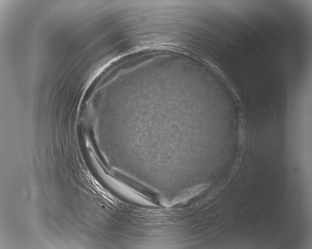 X0000085810924200703301521