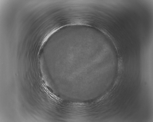 X0000085810925200703301521