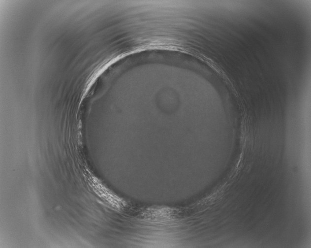 X0000085810926200703301521