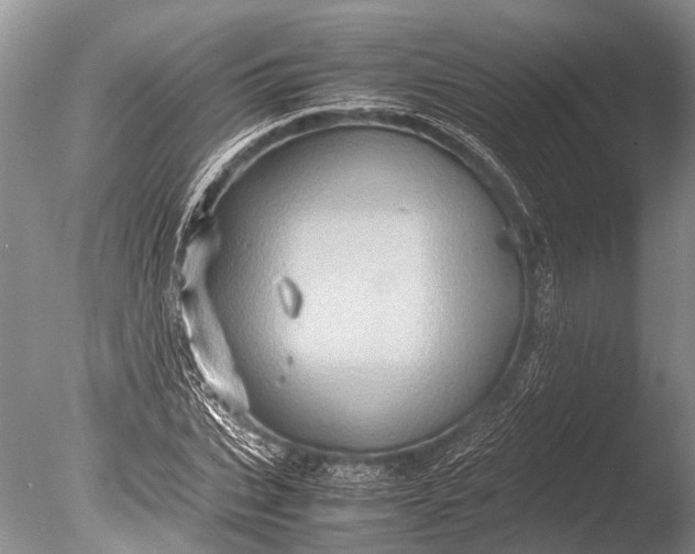 X0000085810927200703301521