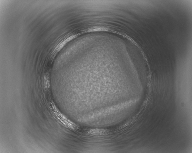 X0000085810929200703301521