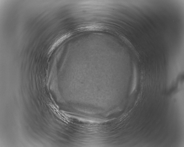 X0000085810930200703301521