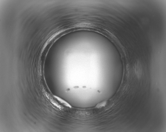 X0000085810931200703301521