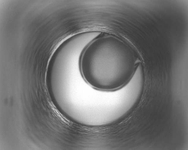 X0000085810932200703301521